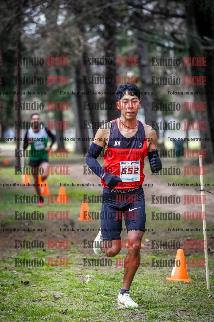 Fotos en el circuito