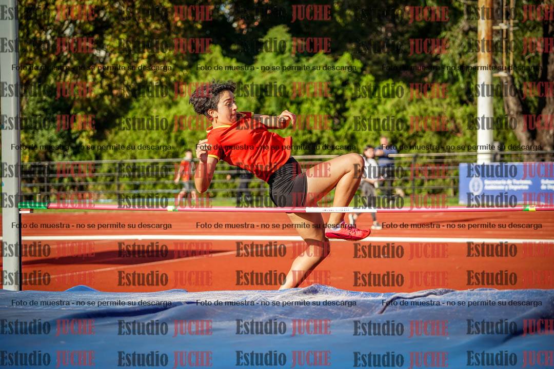 Fotos del salto en alto de mujeres - hepta 2