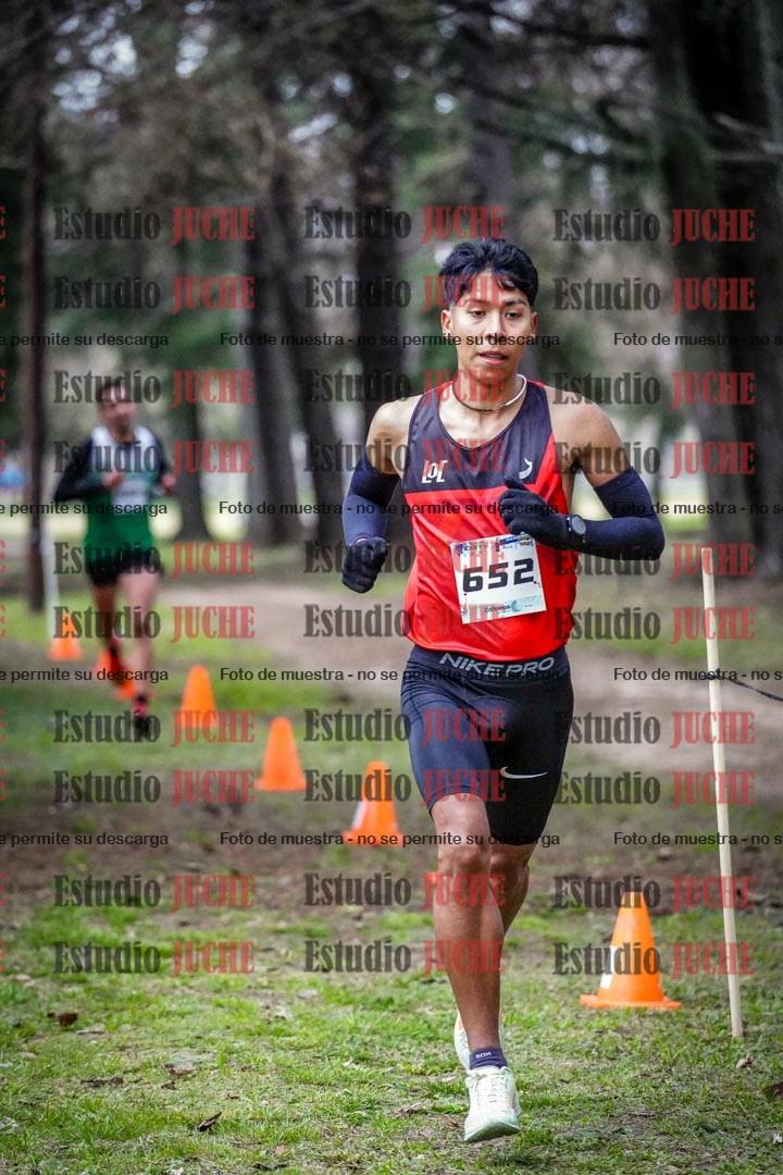 Fotos en el circuito