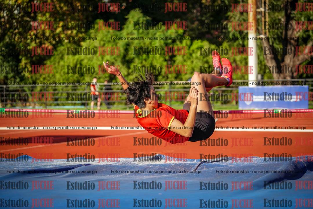Fotos del salto en alto de mujeres - hepta 2