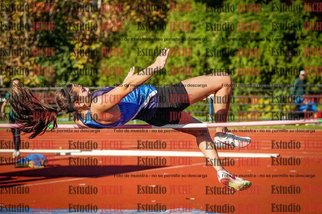 Fotos del salto en alto