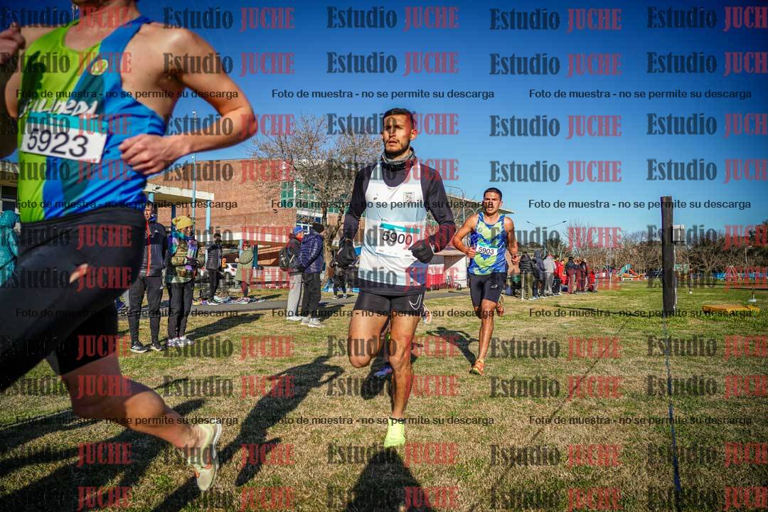 Fotos en el circuito