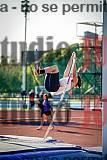 Fotos del salto con garrocha de mujeres y varones
