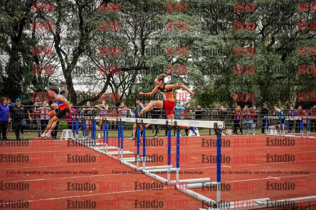 Fotos de los 110 m con vallas de varones