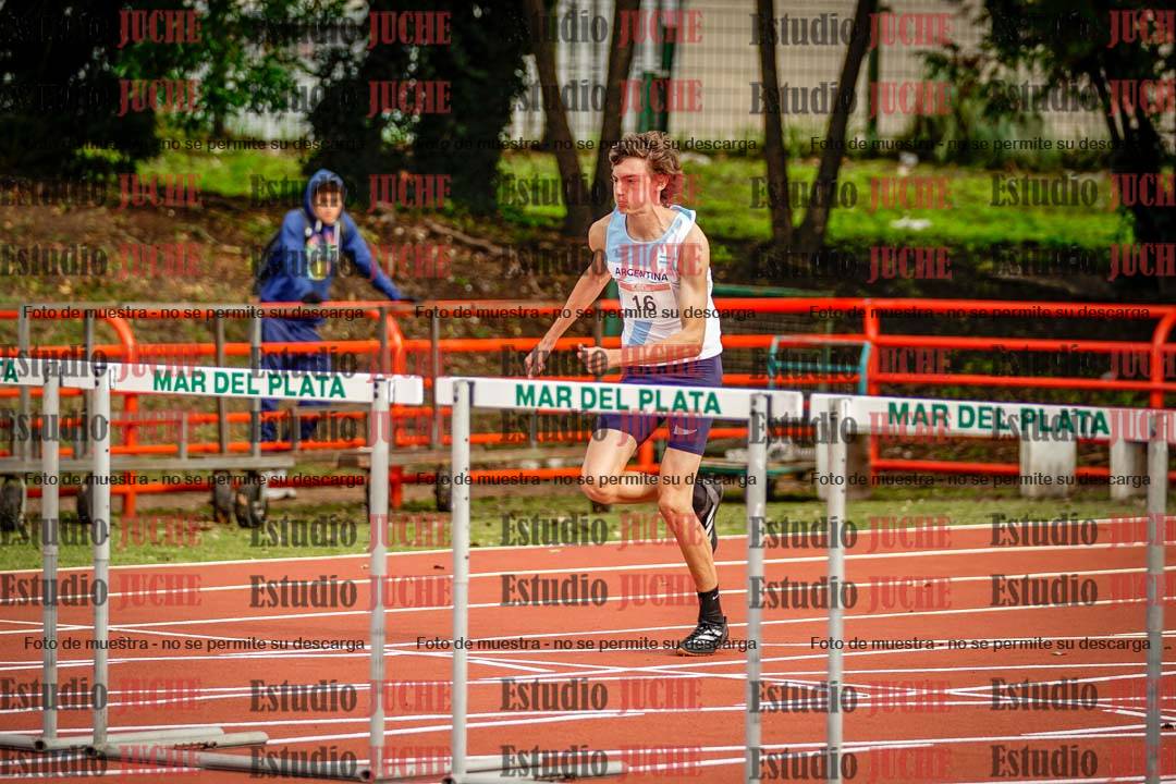 Fotos de los 110 m con vallas de varones