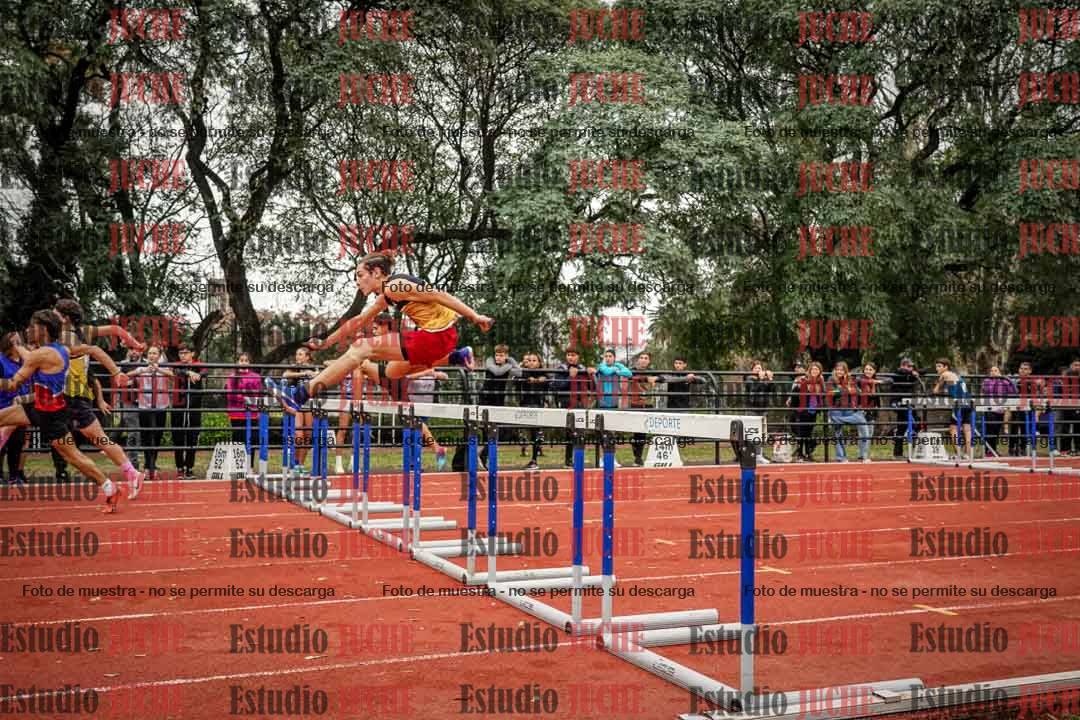 Fotos de los 110 m con vallas de varones
