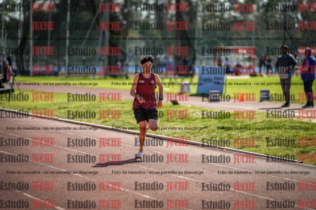 Fotos de los 295 m con vallas de varones