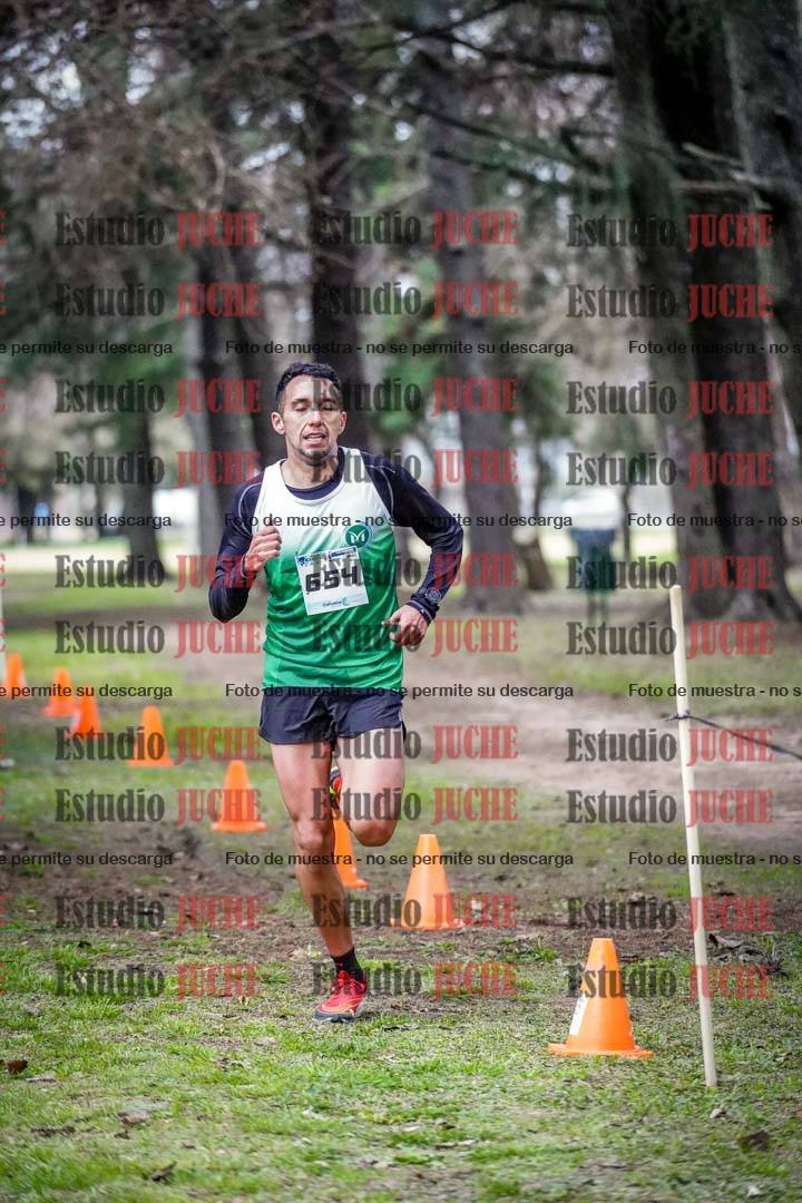 Fotos en el circuito