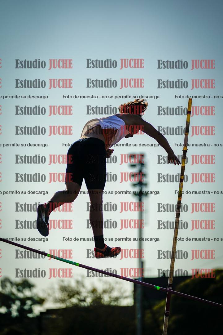 Fotos del salto con garrocha de mujeres y varones