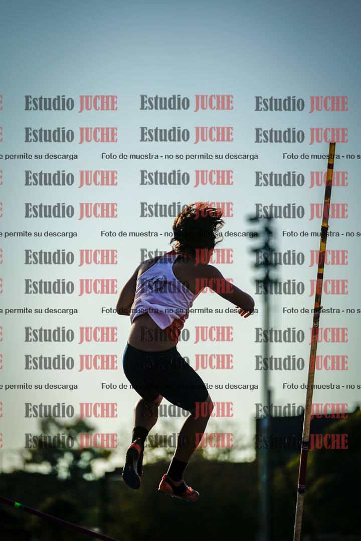 Fotos del salto con garrocha de mujeres y varones