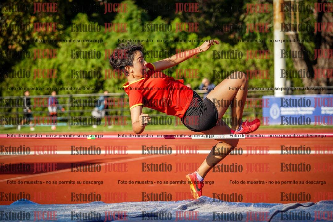Fotos del salto en alto de mujeres - hepta 2