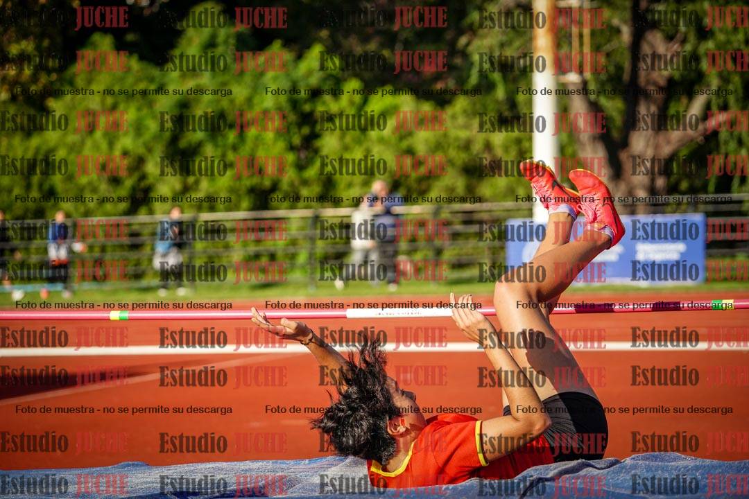 Fotos del salto en alto de mujeres - hepta 2