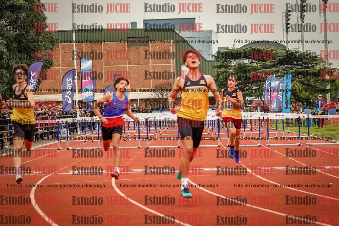 Fotos de los 110 m con vallas de varones