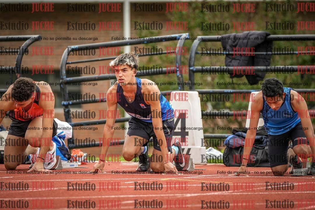 Fotos de los 110 m con vallas de varones