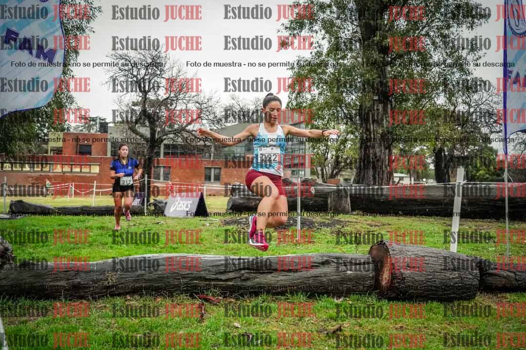Fotos en el circuito