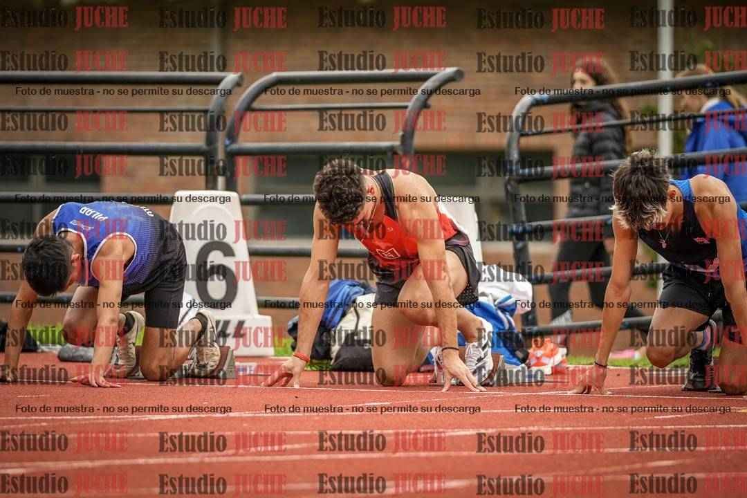 Fotos de los 110 m con vallas de varones