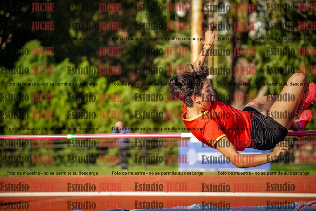 Fotos del salto en alto de mujeres - hepta 2