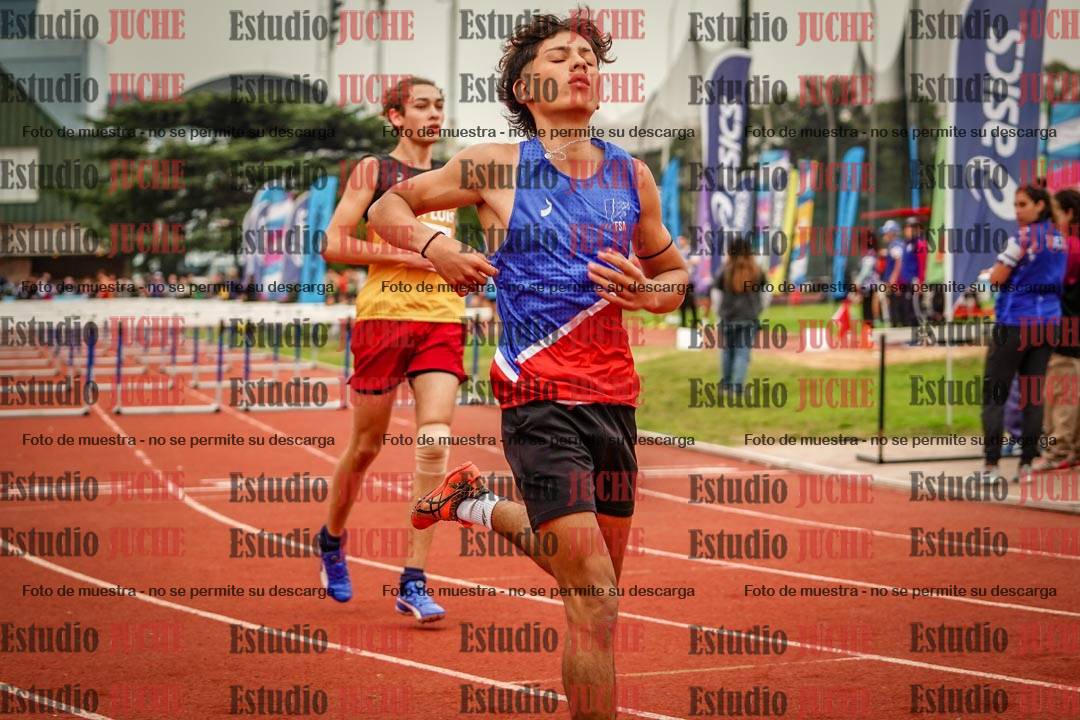 Fotos de los 110 m con vallas de varones