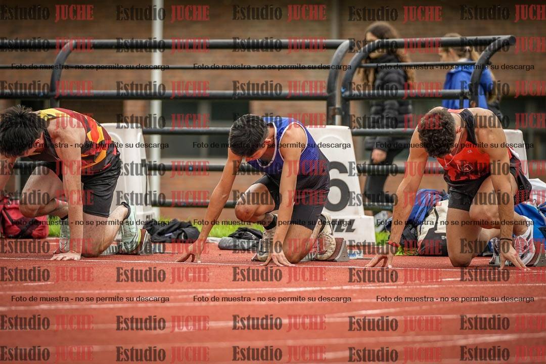 Fotos de los 110 m con vallas de varones
