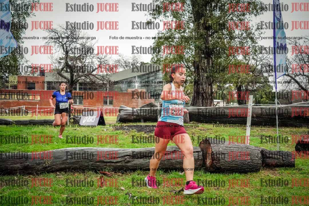 Fotos en el circuito