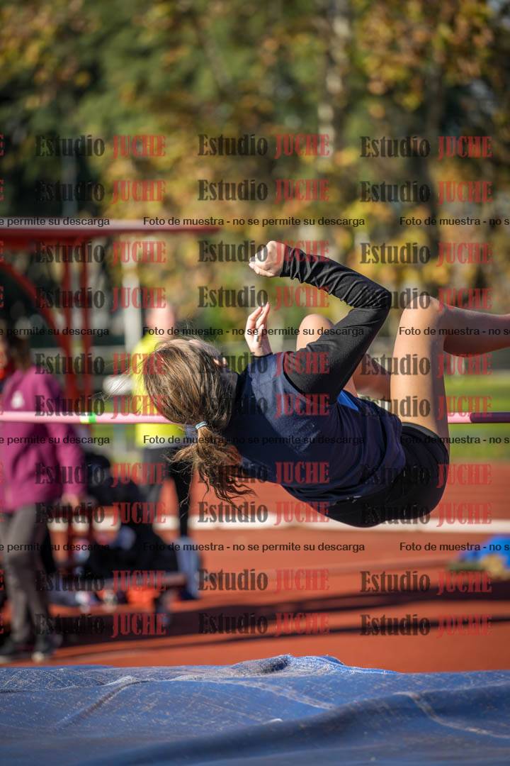 Fotos del salto en alto