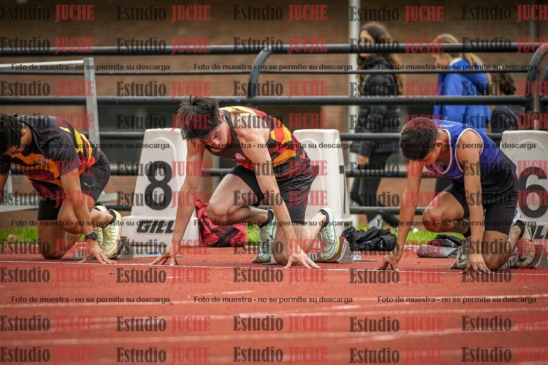 Fotos de los 110 m con vallas de varones