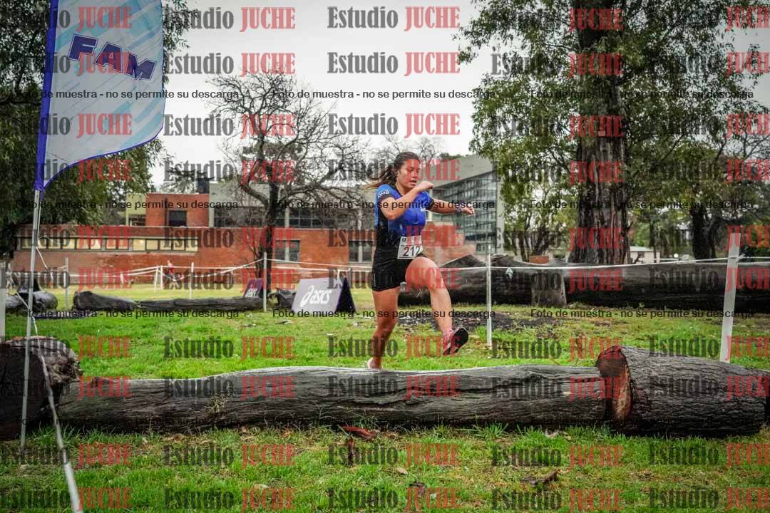 Fotos en el circuito