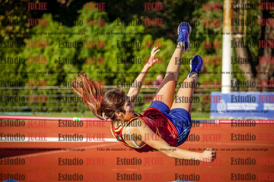 Fotos del salto en alto de mujeres - hepta 2