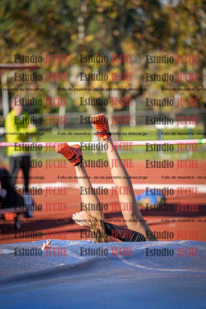 Fotos del salto en alto