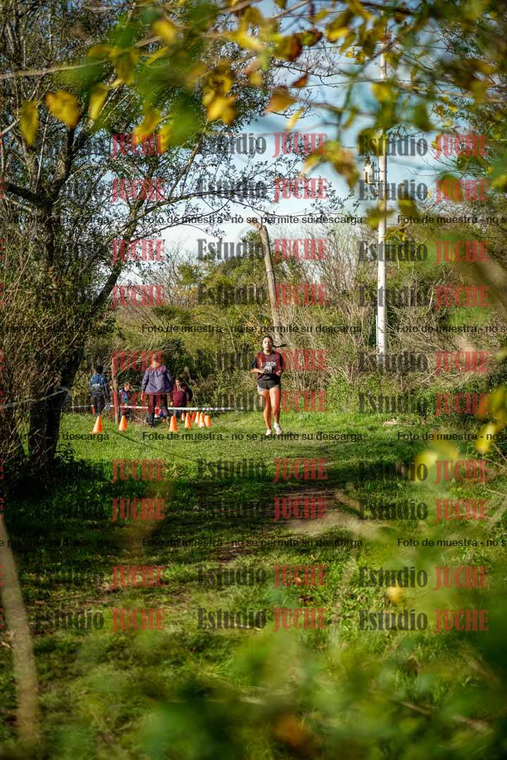 Fotos en el circuito