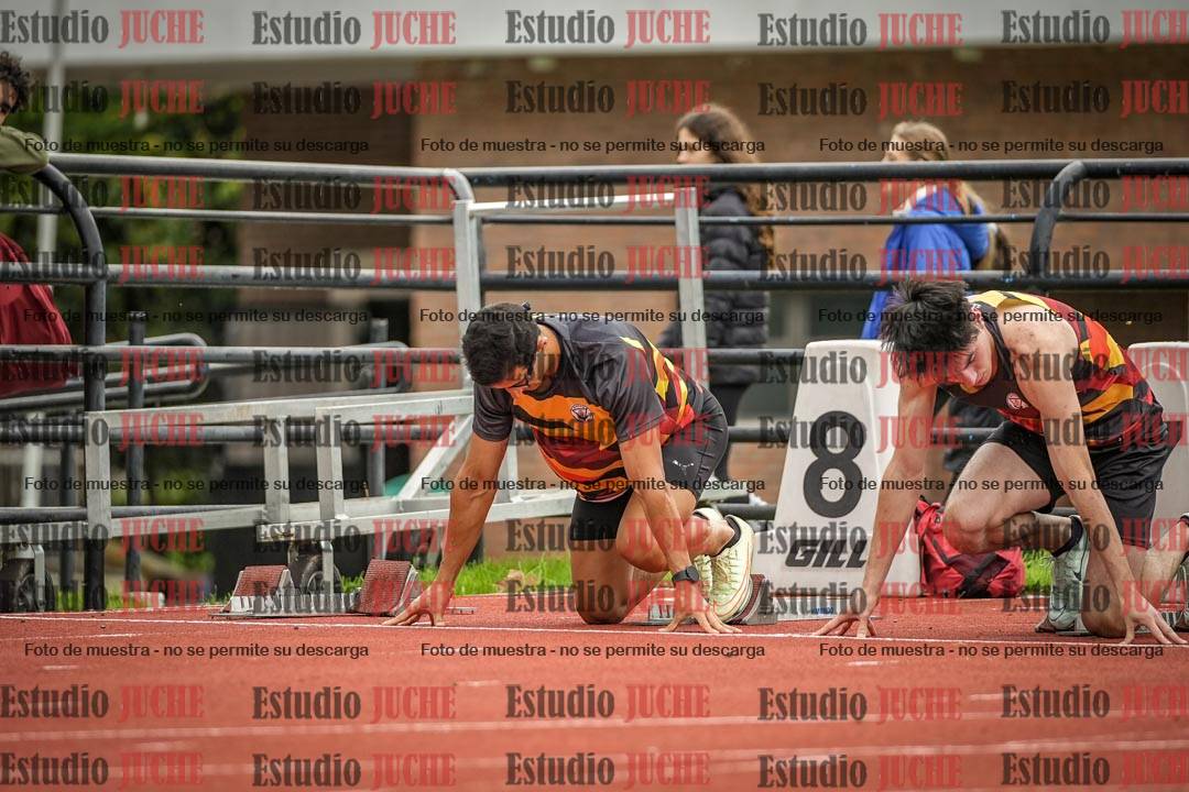 Fotos de los 110 m con vallas de varones