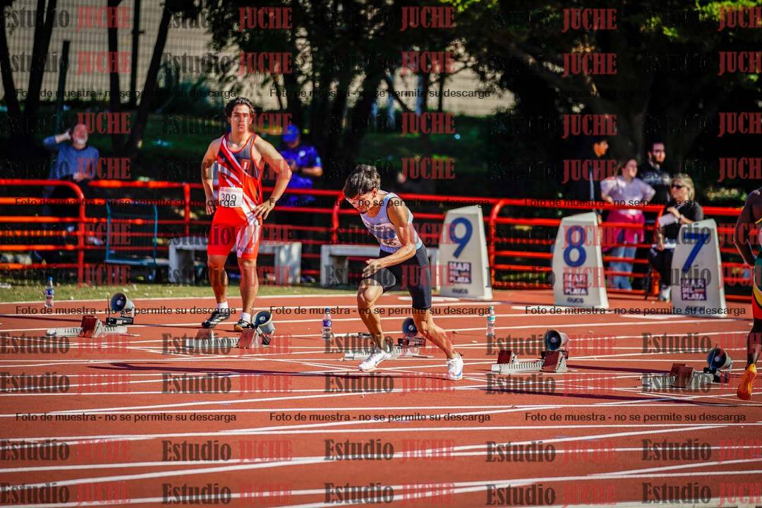 Fotos de los 100 m de varones