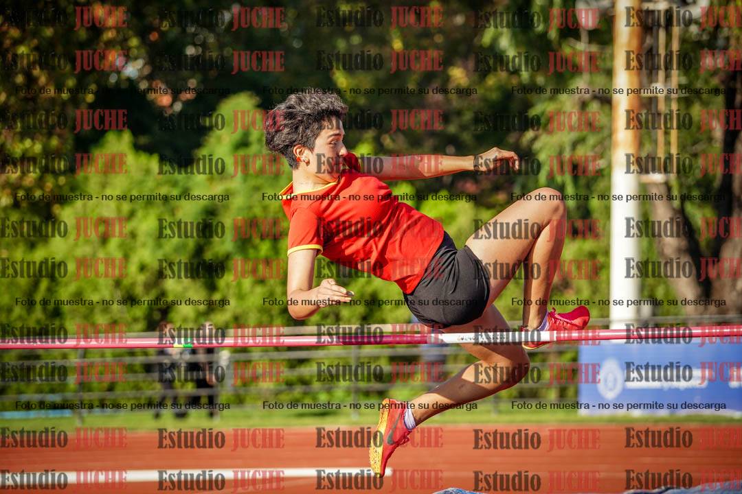 Fotos del salto en alto de mujeres - hepta 2
