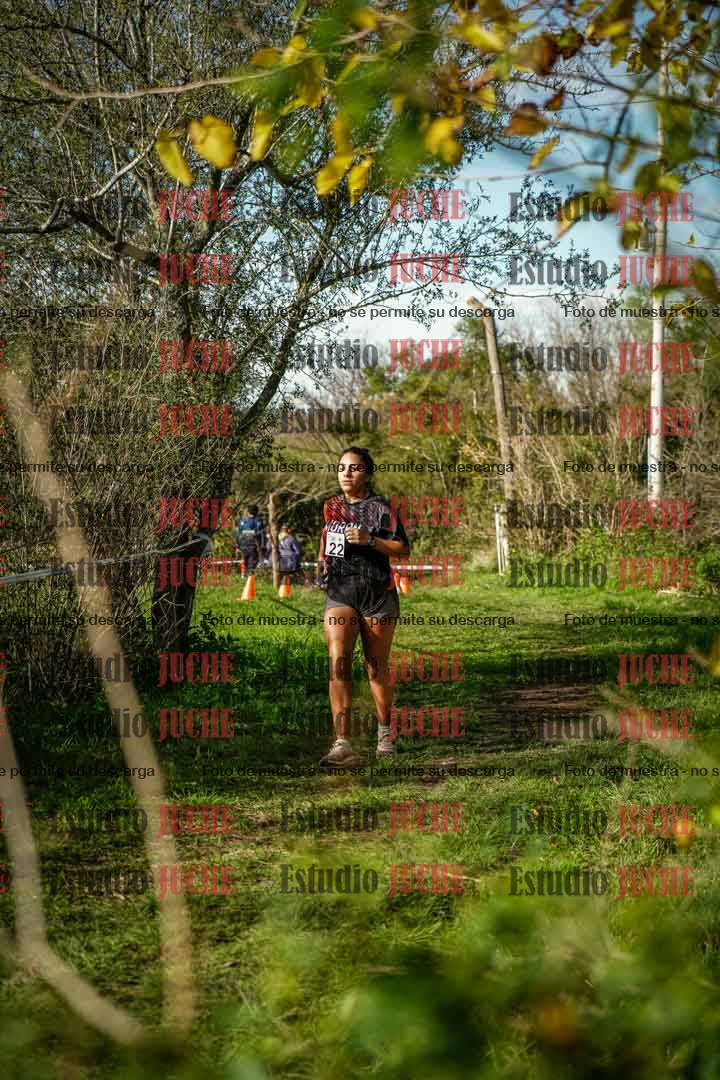 Fotos en el circuito