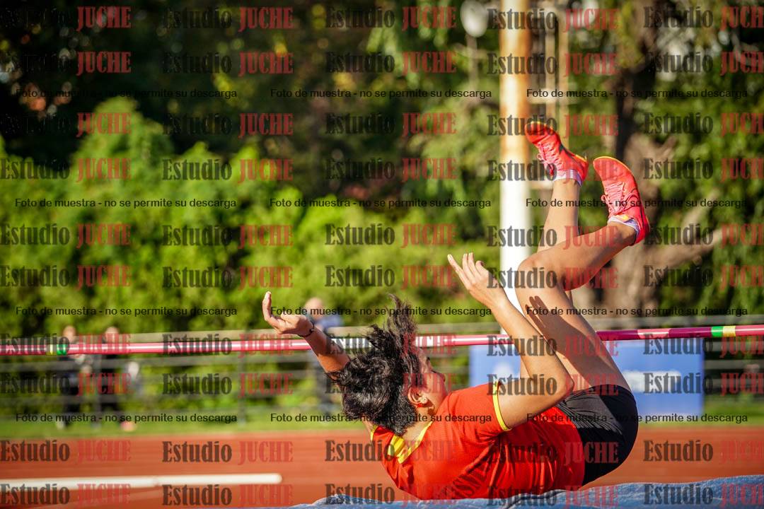 Fotos del salto en alto de mujeres - hepta 2
