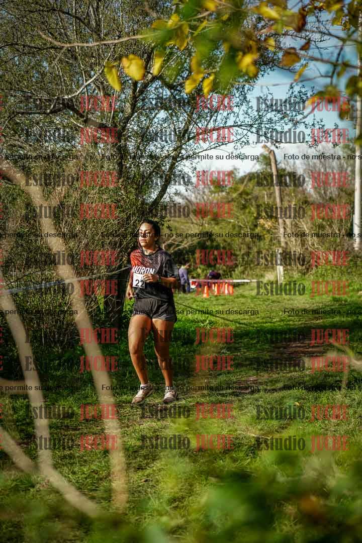Fotos en el circuito