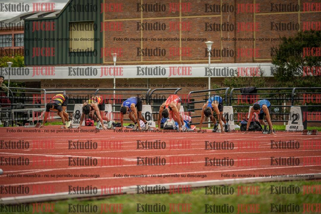 Fotos de los 110 m con vallas de varones