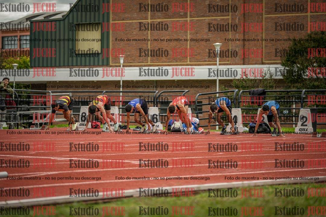 Fotos de los 110 m con vallas de varones