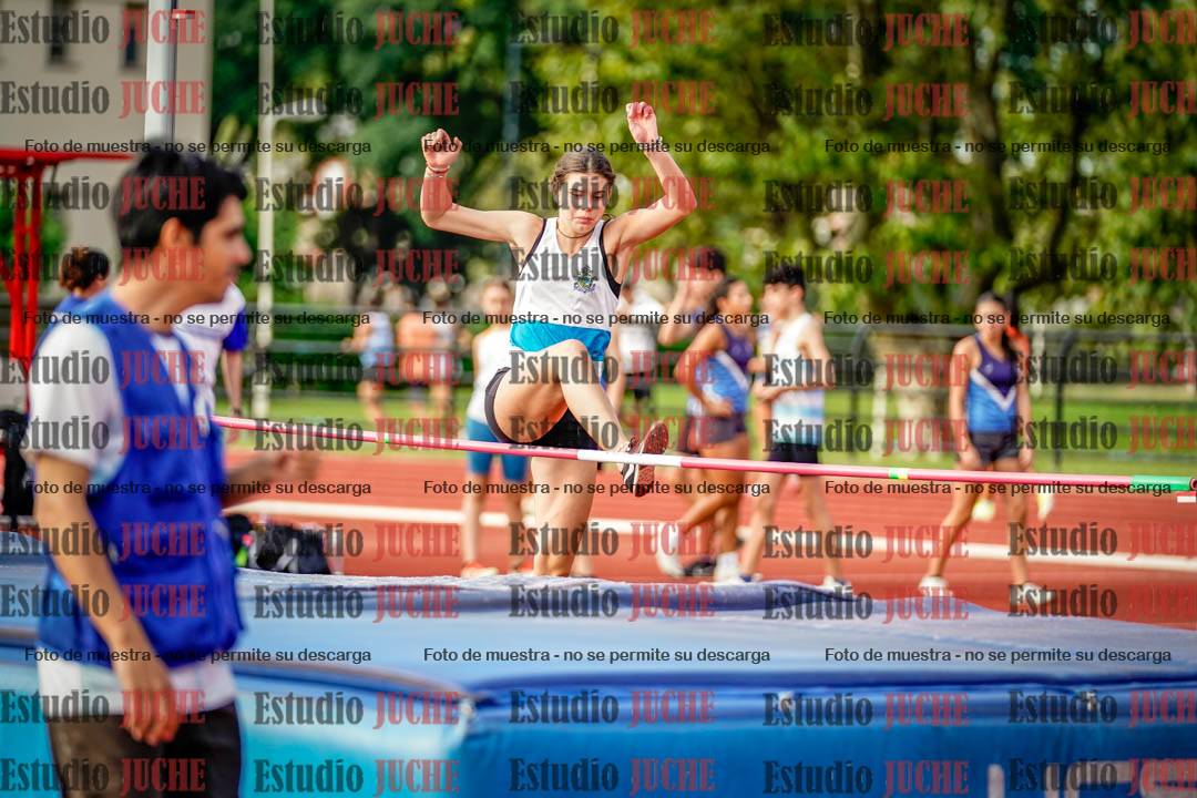 Fotos del salto en alto
