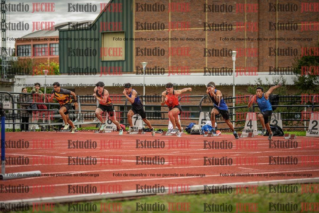 Fotos de los 110 m con vallas de varones