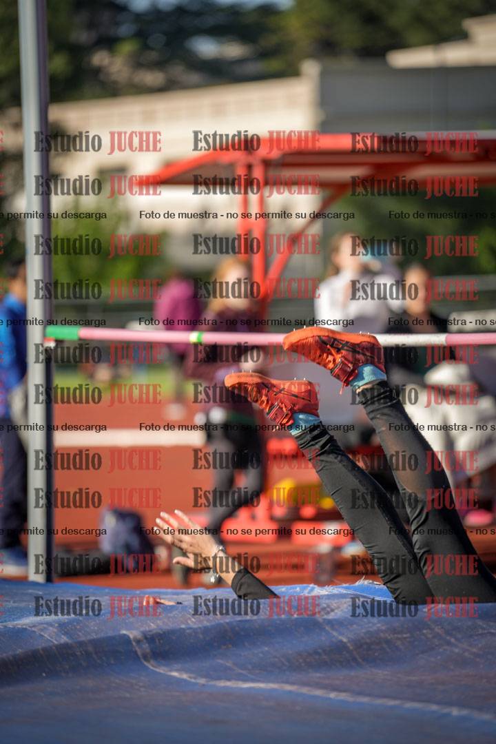 Fotos del salto en alto