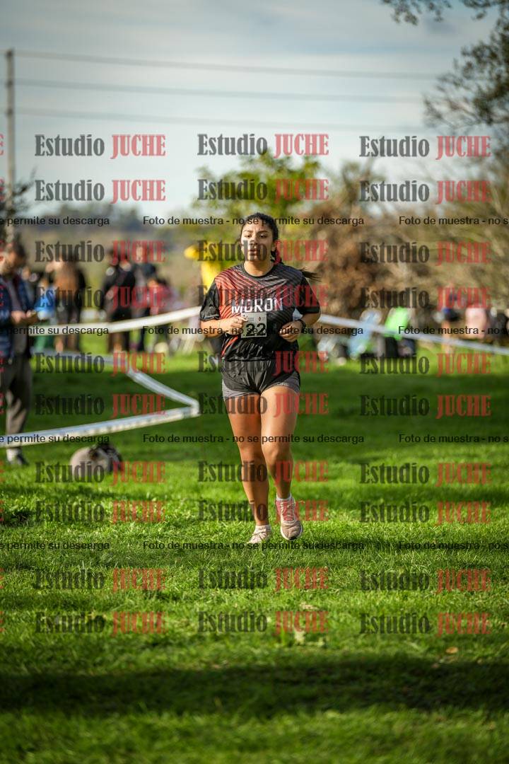 Fotos de la llegada del cross de 4000 m - mujeres