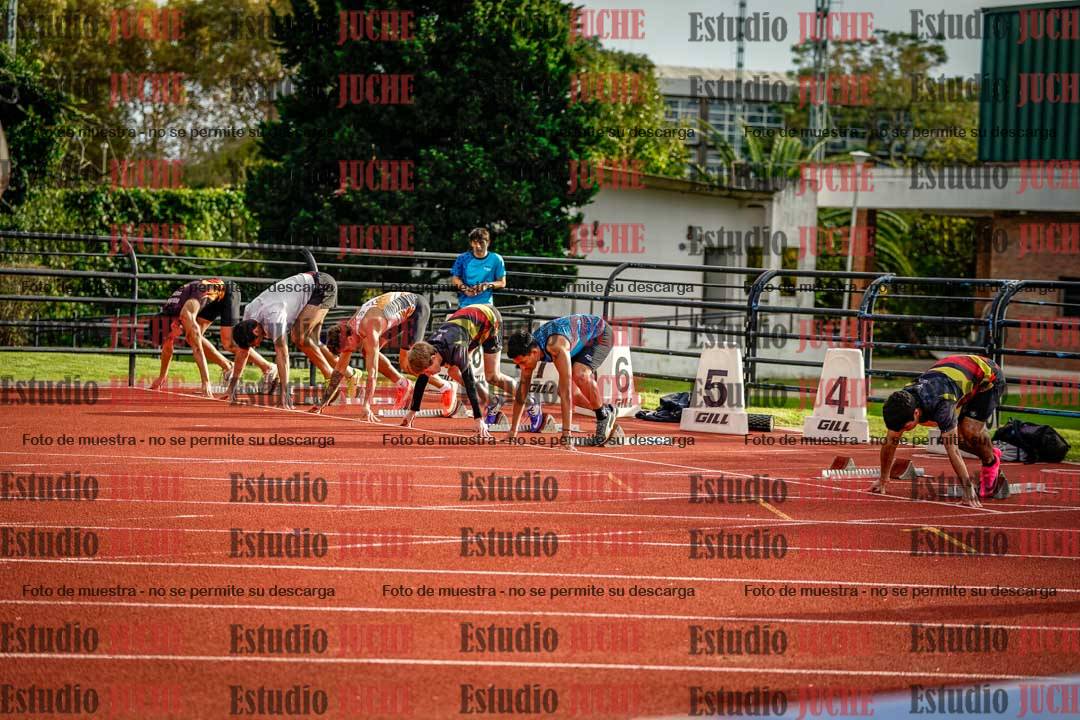 Fotos de los 110 m con vallas de varones