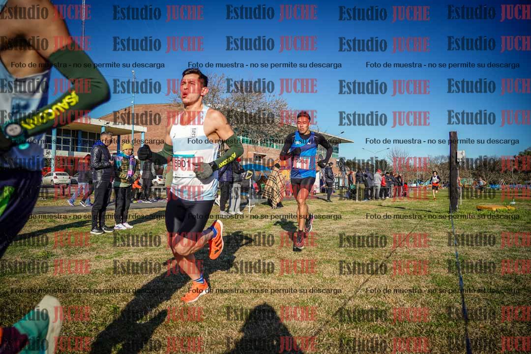 Fotos en el circuito