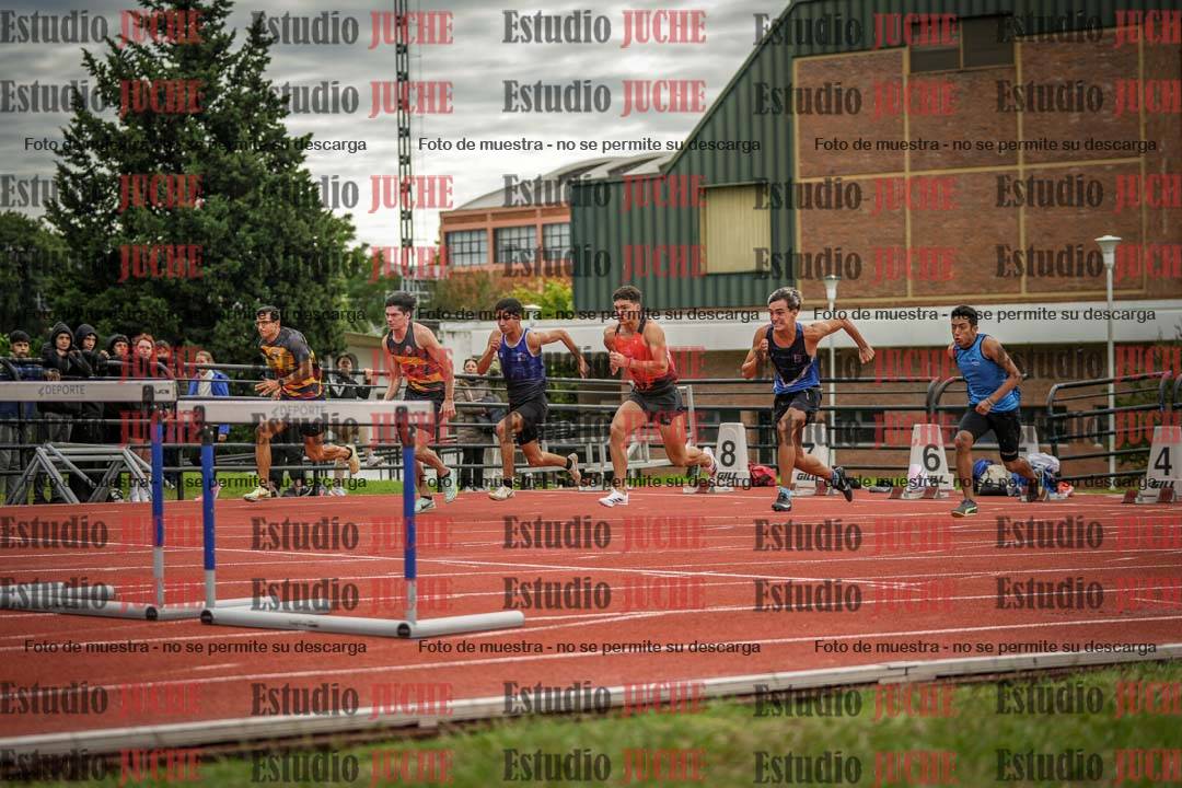 Fotos de los 110 m con vallas de varones