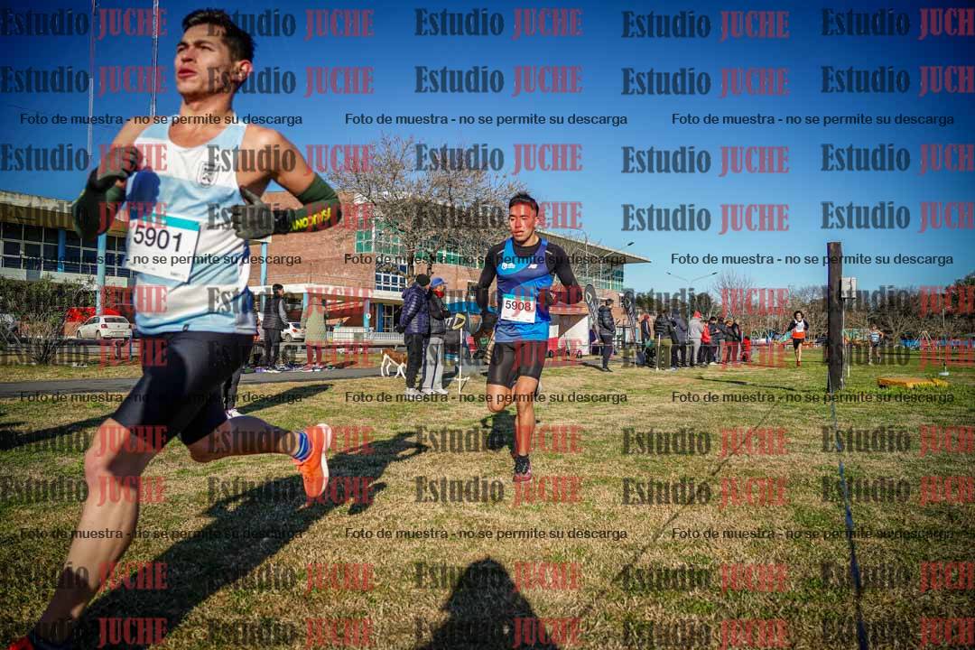 Fotos en el circuito