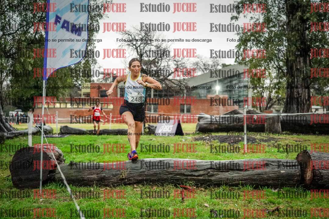 Fotos en el circuito