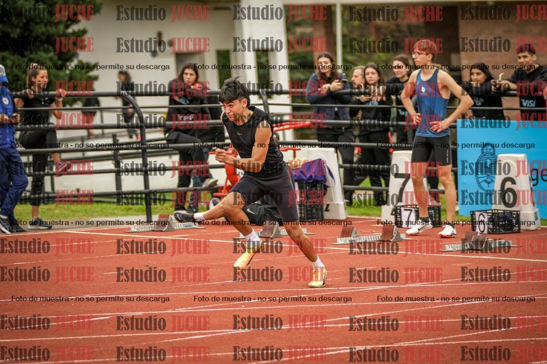 Fotos de los 110 m con vallas de varones