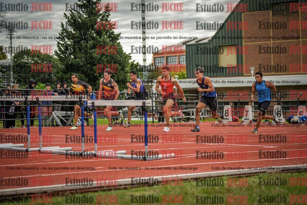 Fotos de los 110 m con vallas de varones