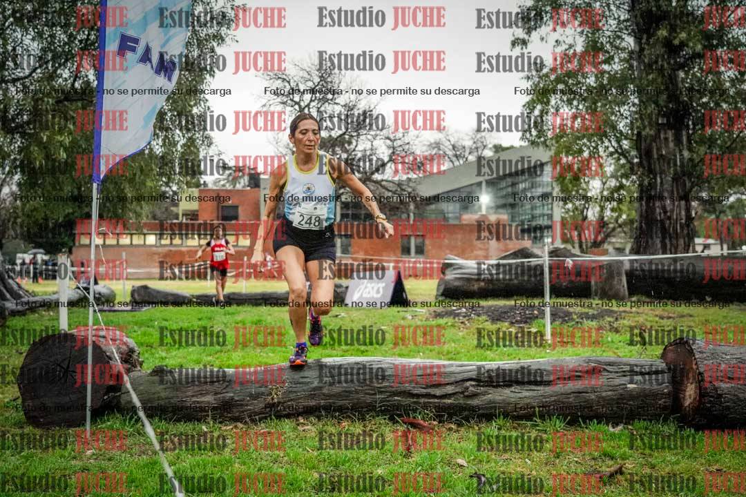 Fotos en el circuito